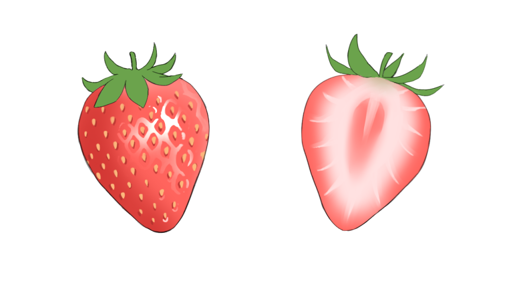 AmazonYAYAMIYA 果物の缶詰 12種類味は選べます 425g×6 フルー黄桃，五目，パイナップル，ヤマモモ，梨の実 ，ミカン，いちご，サンザシ本，馬蹄，ココナツの実，ぶどう，杏 フルーツの缶詰・瓶詰ココナッツの缶詰YAYAMIYAフルーツの缶詰・瓶詰通販