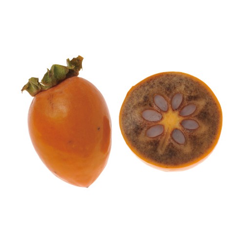 柿農家「柿壺」甘柿の干し柿 わがはいは柿である。8袋入箱モンベル