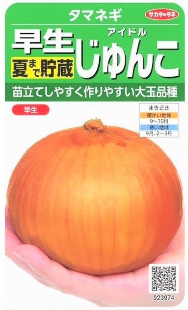 たまねぎ大阪市中央卸売市場