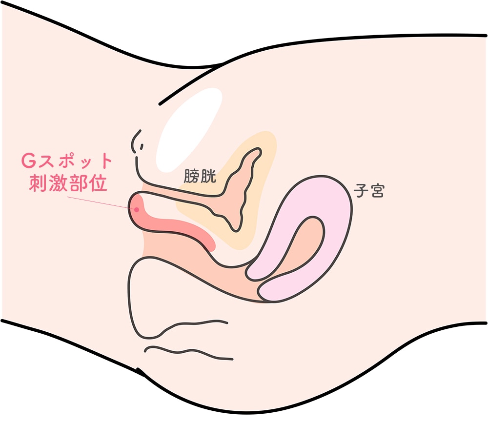 Gスポットがない」「どこにあるのか場所がわからない」感じる位置の探し方 | 【きもイク】気持ちよくイクカラダ