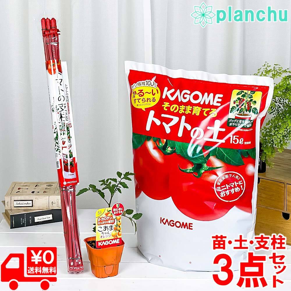 初心者向け マンションのベランダで家庭菜園を始めよう!野菜の育て方完全マニュアル有機野菜とだいじなはなしみっくすなっつアイチョイスのWEBマガジン