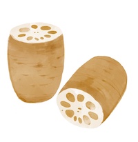 レンコンの保存 常温・冷蔵・冷凍の日持ちと保存テクニックを紹介！ふるなび公式ブログ ふるさと納税DISCOVERY