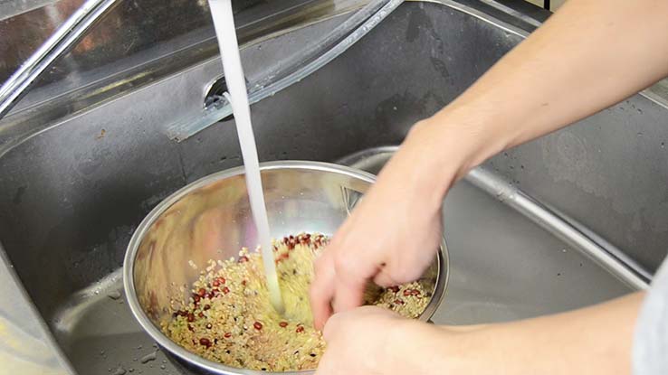 酵素玄米ご飯スターターセット！」電気圧力鍋ご購入で「こしひかり玄米・小豆・塩」をプレゼント