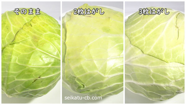 知ってた？ 八百屋が思わずガッツポーズする「おいしいキャベツ」の見分け方。葉っぱの色は？ポイント交換のPeX