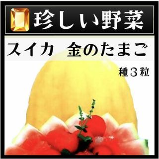 メロンみたいな野菜!? スッキリとした甘さの「マクワウリ」って知ってる？「colocal コロカル」ローカルを学ぶ・暮らす・旅する