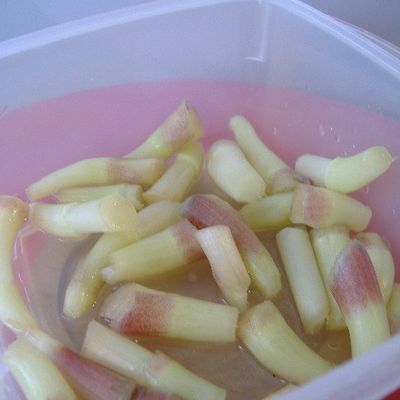 みょうがの忘れ物の甘酢漬け