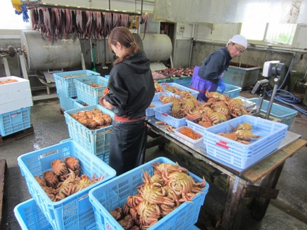 丸本本間水産記事一覧みなと新聞 電子版