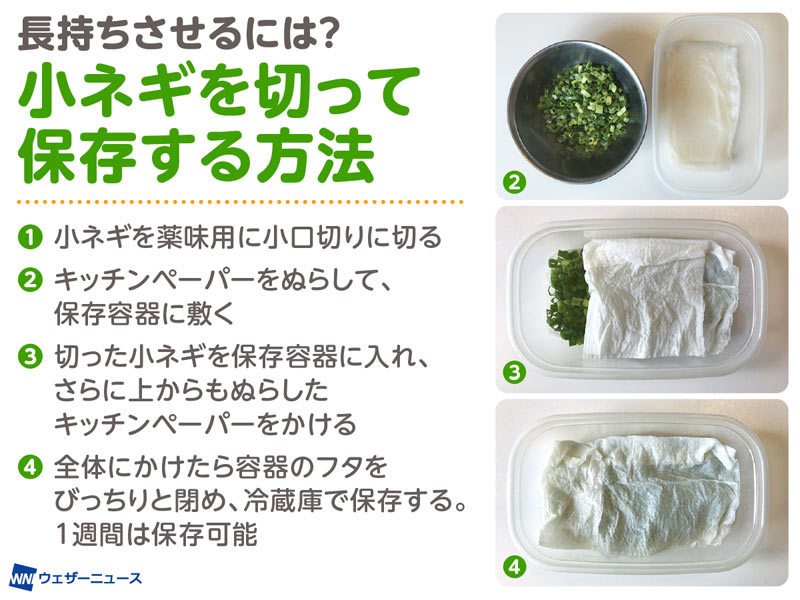 便利☆小ネギの冷凍保存！ 浅葱・万能ネギなど