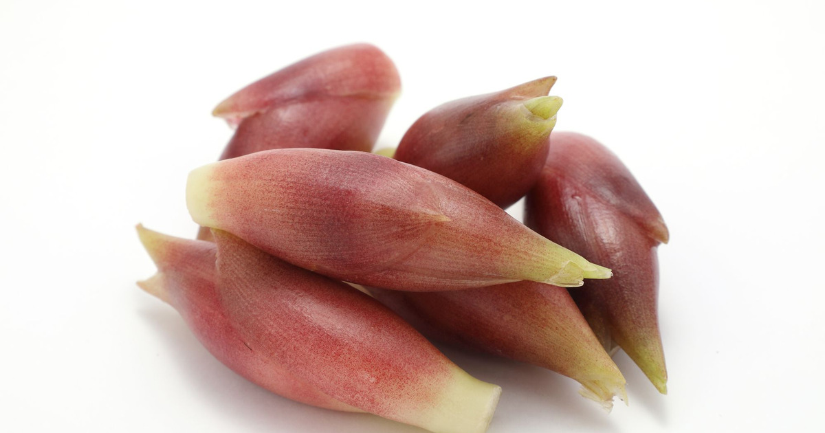 おやじレシピ 初夏の味「ミョウガの甘酢漬け」 - ひろのLIFE