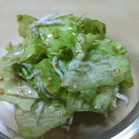 レタス〇個分の食物繊維*'ω'*ほねつぎ大幸院 院長のブログ