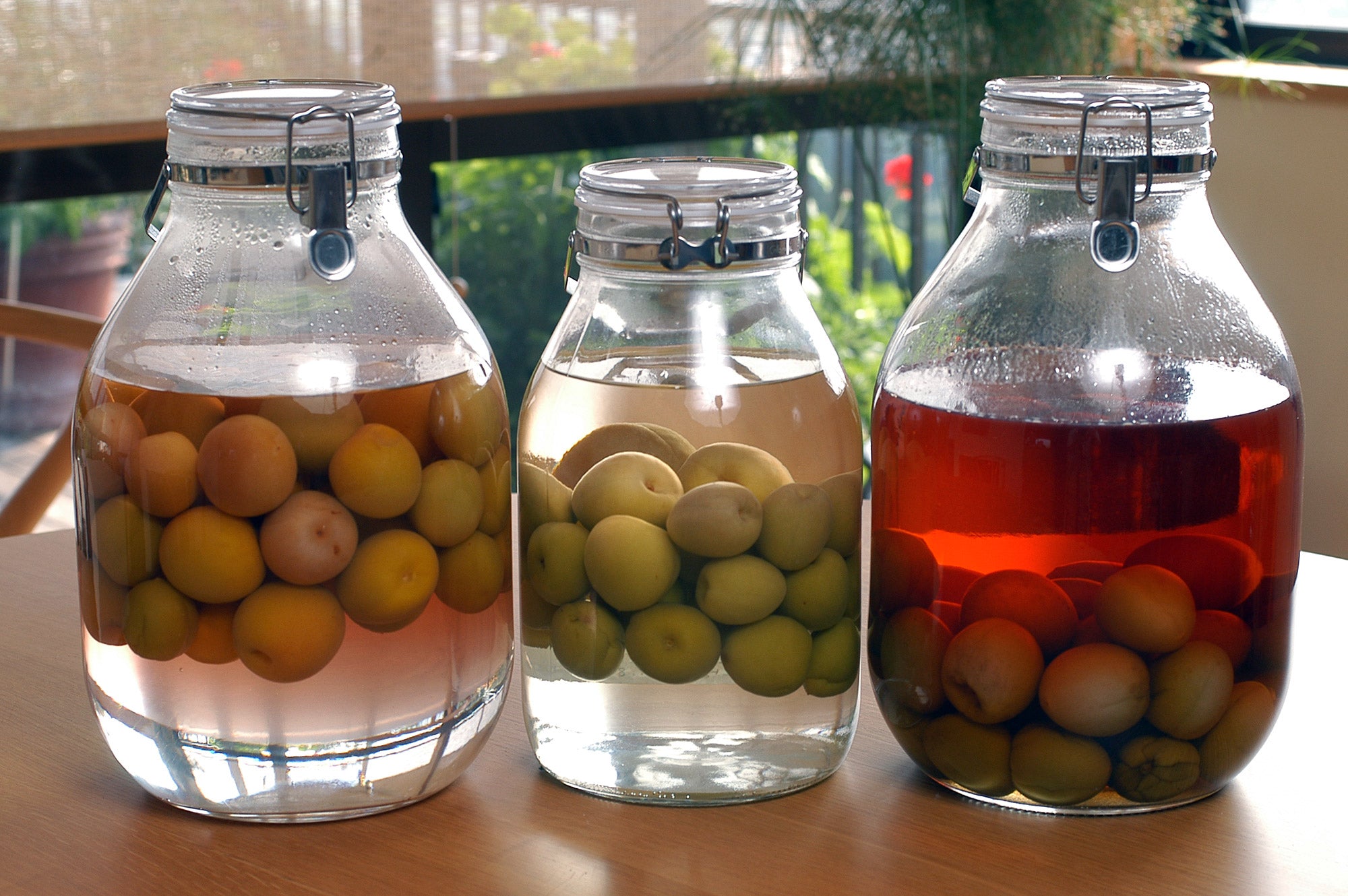 梅酒の梅は再利用しよう！取り出すタイミングやおすすめレシピをご紹介中田食品株式会社