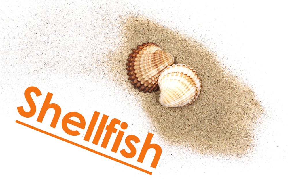 つぶ貝 を食べよう！栄養と効能、旬や種類ごとの特徴、食べる際の注意点 毒素 とおすすめの食べ方について