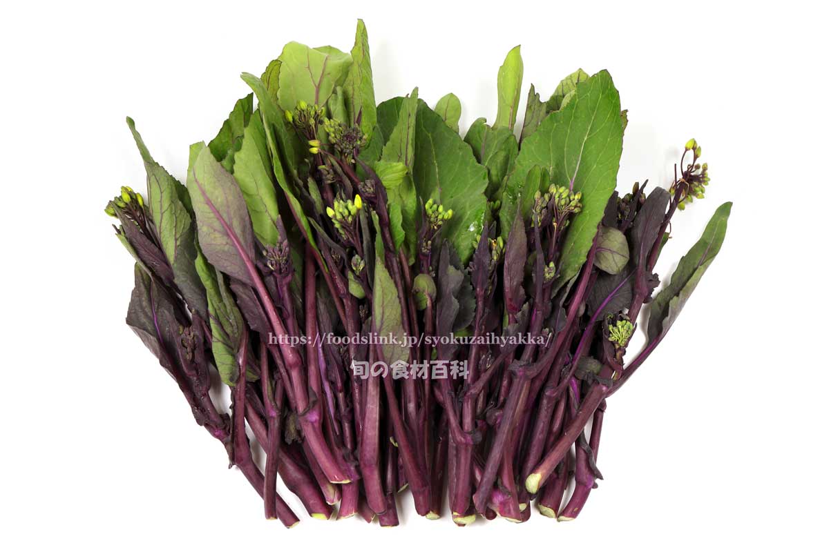 春の味覚☆紅菜花のおひたし