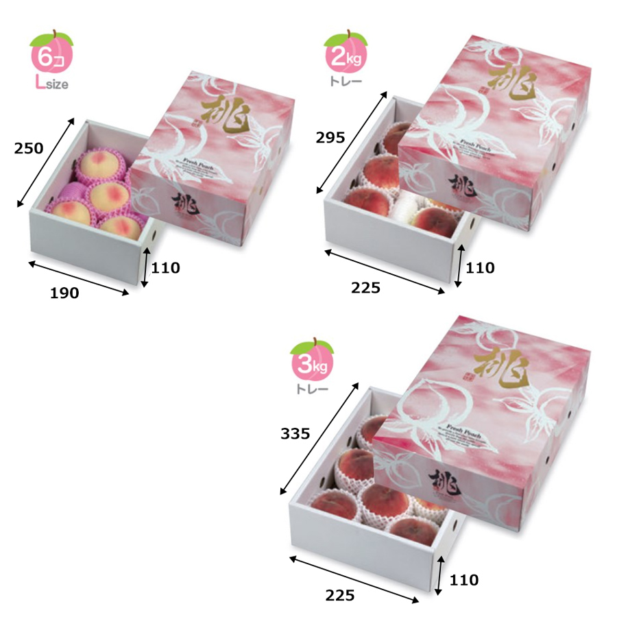選べる3size 100個入 旬味 手提2ヶ入手提げ 取っ手付き もも 桃 ボックス 果物 くだもの フルーツ 出荷 紙箱 宅配用 贈答用ギフト箱 詰合せ箱 段ボール箱 お歳暮用 お中元用 梱包資材 ラッピング用品 ダンボール ダンボール箱 業務用 大容量 まとめ買い 楽天市場 桃