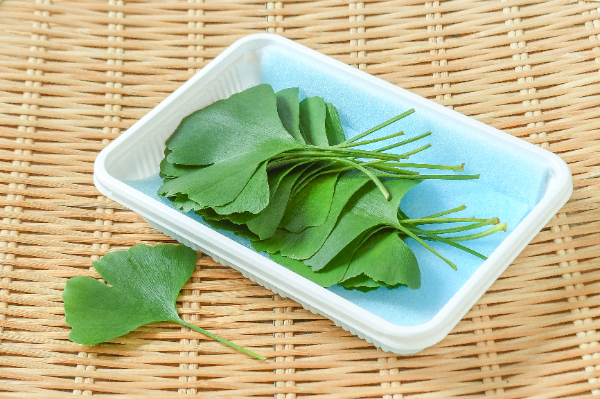道端で拾った銀杏は食べれるのか！？銀杏の食べ方と処理方法をご紹介！ - 賃貸アパートと日々の生活