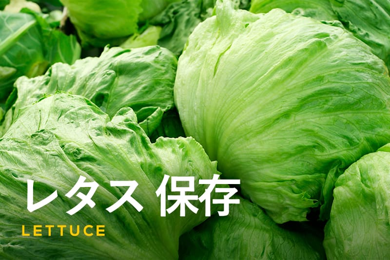 レタスの保存方法冷蔵庫で長持ちさせるテクニックと冷凍保存のコツを紹介!ふるなび公式ブログ ふるさと納税DISCOVERY