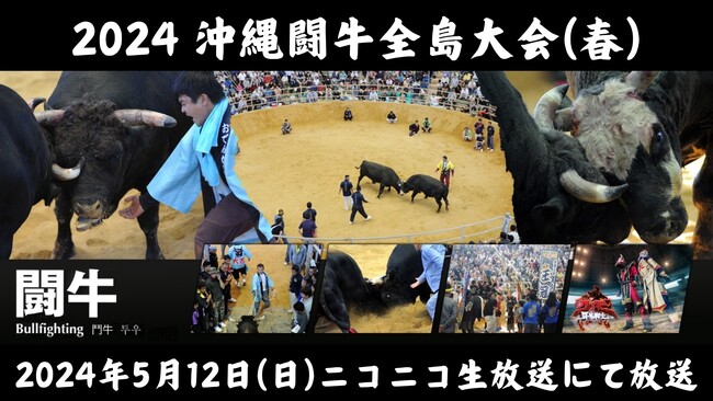 【沖縄県うるま市『第120回春の全島闘牛大会』生放送記念】第118回春の全島闘牛大会