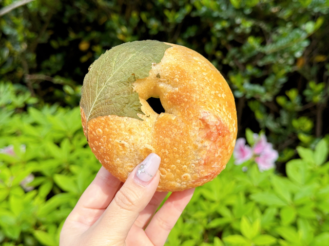 京都で話題の“もちむぎゅベーグル”の専門店。お惣菜系からスイーツ系まで幅広い品ぞろえ RABBIT BAGEL 河原町丸太町店京都府・京都市パンめぐ ぱんめぐ・パンメグ