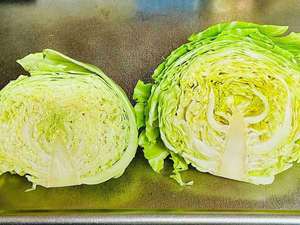 キャベツみなとの野菜大辞典