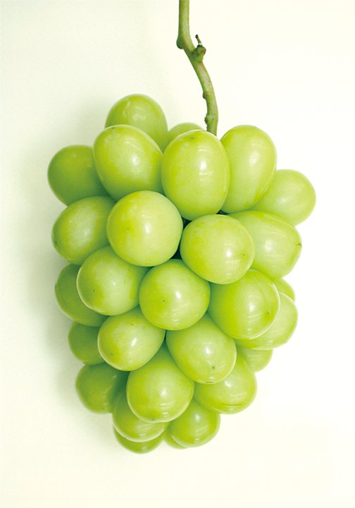 島根県内の特産品 - 果物JAしまね