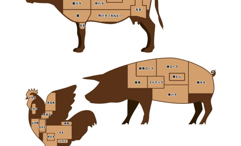 牛肉 - 福井康平デザイン事務所