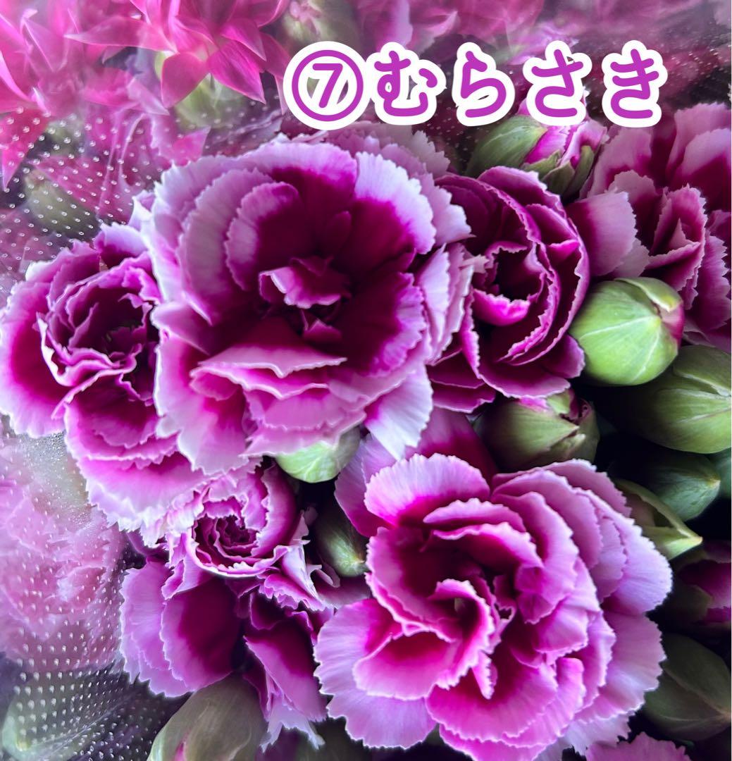 オリエンタルユリ 10本ミックスセット 白とピンク 花束 百合花卉農家直送 オリエンタルリリー 産地直送 -宮路園芸 -プレゼント＆ギフトのギフトモール