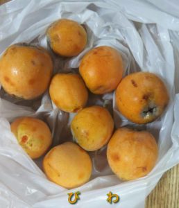 庭の枇杷でコンポートづくり – 地のものキッチン - 地のものメディア