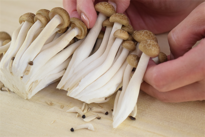 楽天市場 大粒丹波しめじ きのこ野菜・きのこ ：食品の通販