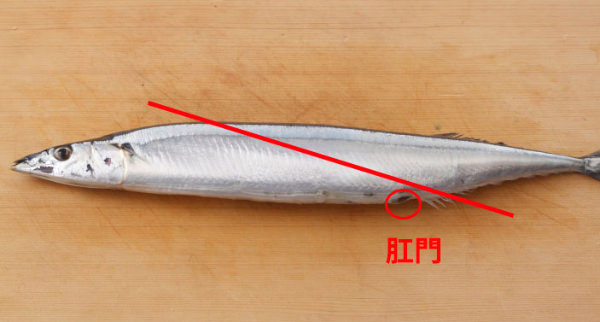 グリル使うのめんどう →超～簡単に さんま を焼く方法！！今まで知らなかったよ ！TRILL トリル