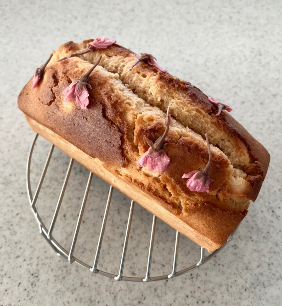 森永のゼラチンとマリーを使って、SAKURAレアチーズケーキを作りました。チーズケーキに桜あんを、上のゼリーの部分に桜の塩漬けを使っています。桜あんとクリームチーズの和と洋の組み合わせがとても美味しくエンゼルPLUS by 森永製菓