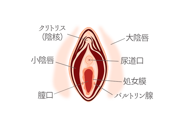 女の子のための首のタトゥー：スケッチ、首と喉の後ろにある星のデザイン、意味、象徴、イメージの意味