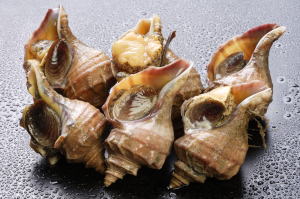 つぶ貝のお通し