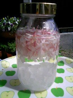 ドクターワインどくだみのワイン720ml : お酒のちゃがたパーク Yahoo!店 - 通販 - Yahoo!ショッピング