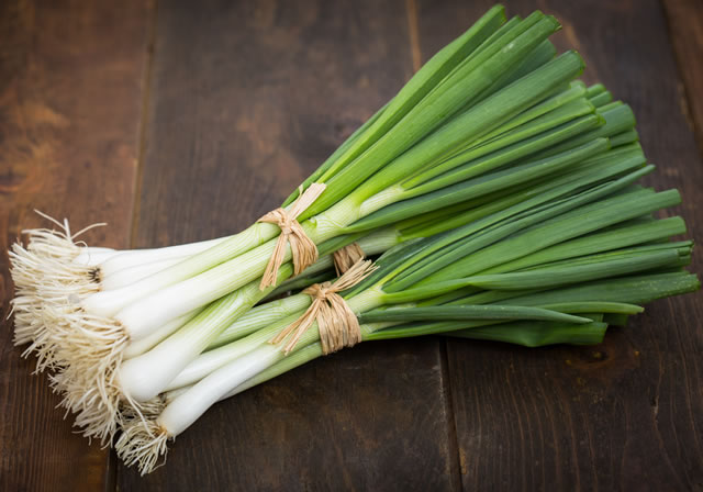 信長ねぎを買ってきた。 – KEISUI ART STUDIO