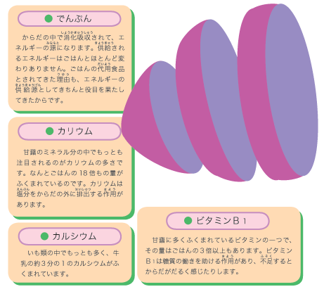 秋の味覚、さつまいも だんだんと気温、湿度が変わって来ていますね もう少し季節が進むとあの香りや味覚が出番をむかえます。そんなさつまいもをカンタンにまとめました。 🍁 1. 体の生理的な理由 さつまいもは 「体を温める食材」 です。 東洋医学では「陽性食品」に