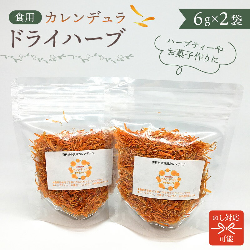 クリーミーホワイトカレンデュラの花の種、エレガントな花、非遺伝子組み換えorganicindiaseeds