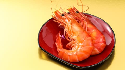 えび 伊勢海老 千葉県 3000g 単位 名産地 千葉 値段 キロ うまい 解禁 シーズン おすすめ 縁起物 めでたい ホイル レシAmazon.co.jp: お刺身 千葉県産 活〆生冷凍 天然伊勢海老 2㎏ 7~10尾 大容量 BBQ いせえび 伊勢えび イセエビ お中元 御中元ギフト 海老 えび