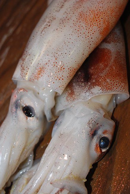 モンゴウイカのさばき方、刺身の切り方