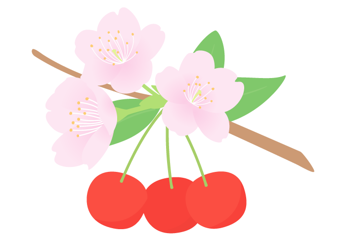さくらんぼののイラスト集 アイコン 背景画像 壁紙 =条件付フリー素材集