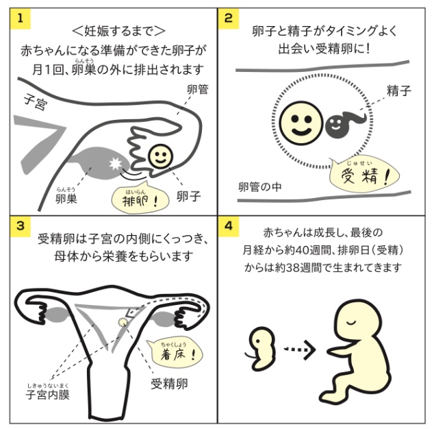 女性にも“賢者タイム”があった！Ｈのあと「1人で寝たい」が4人に1人 « 女子SPA！