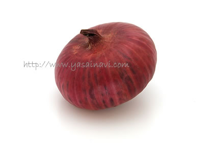 赤玉ねぎ作るぞ！そだレポ 栽培レポート byマンションベランダみんなの趣味の園芸