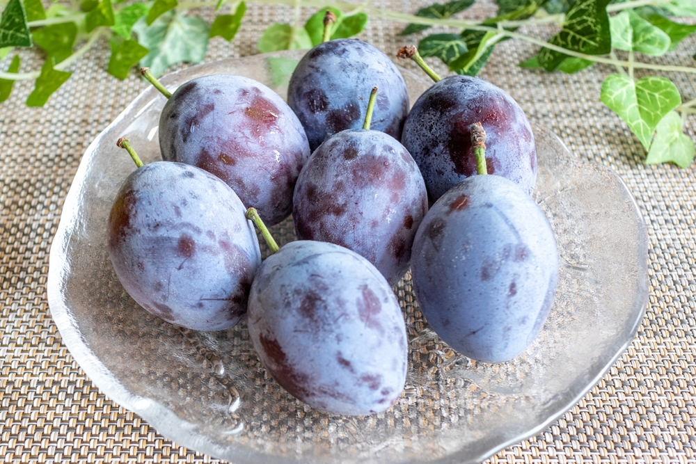 シリーズ「青い果実たち」のぶ