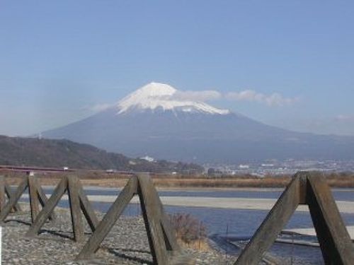 吉原南町内会