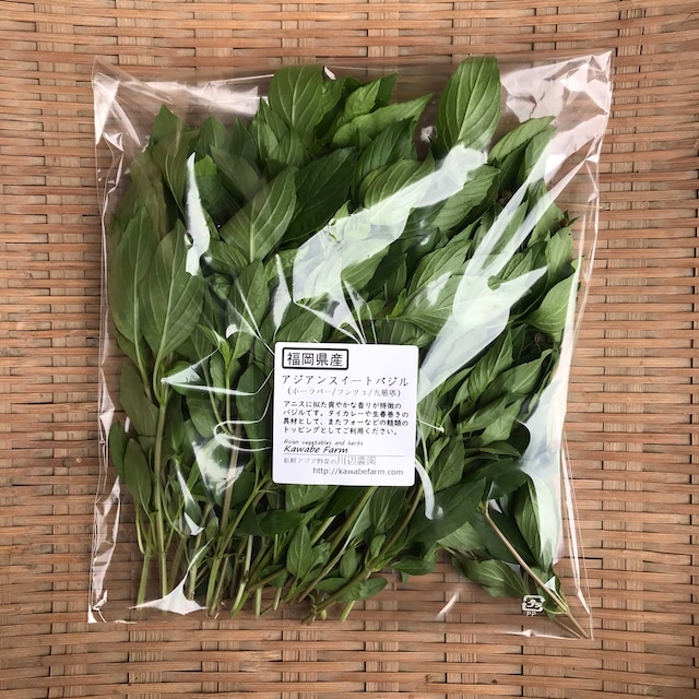 ガパオとホラパーのネット通販をはじめたわくわくアジア野菜ライフ