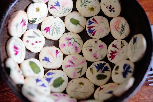 ハーブと米粉のクッキー 詰め合わせ グルテンフリー お菓子 ノニ農法 ハーブ ゆっこママのハーブクッキー スイーツ 343113 - 高知県日高村au PAY ふるさと納税