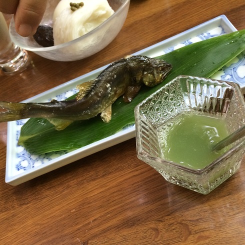 花見弁当 お花見シーズン限定商品 料亭久里川