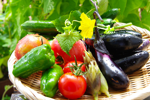 夏野菜といえばコレ！」旬の食材がこの夏1番活躍する揚げ浸し 20分で完成まいにち3品食堂- エキスパート - Yahoo!ニュース