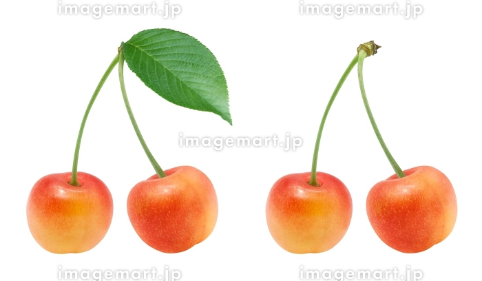 さくらんぼ 手書きクレヨン風 イラスト・フリー素材なら「シンテリ」