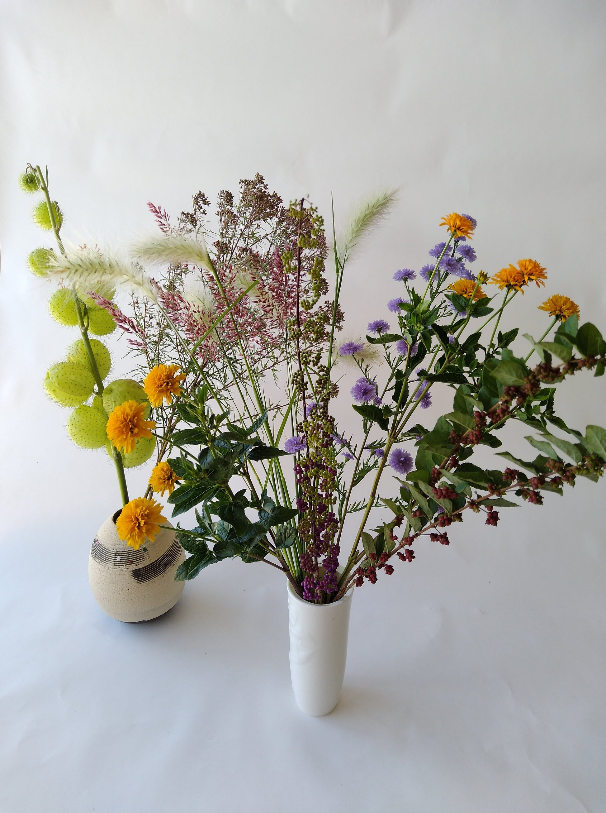 花農家直送！ガーベラおまかせミックス 20本