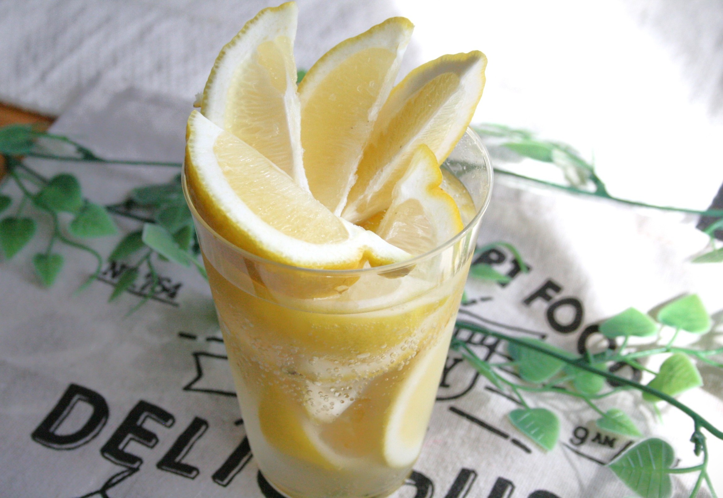 自分好みでどうぞ〜♪ 自家製レモンサワー 果実酒漬け込み 手作りサワー 氷砂糖mieuxkanon*